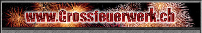 Feuerwerks Logo